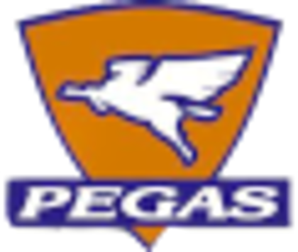 Picture for manufacturer Pegas